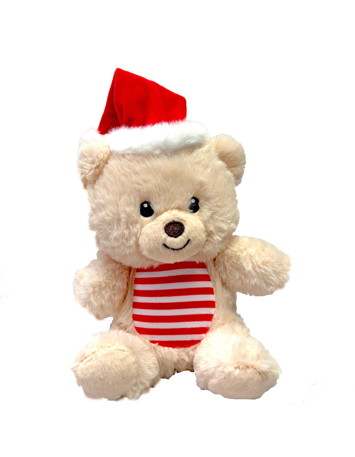 Teddy Bear Toy